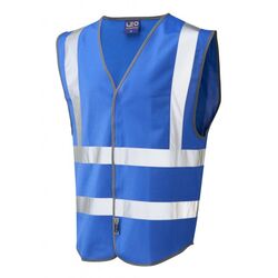 Hi Vis Warden Vest Rear Print Royal